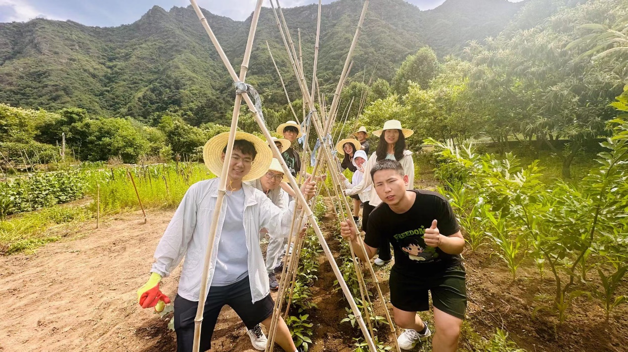edf壹定发官网